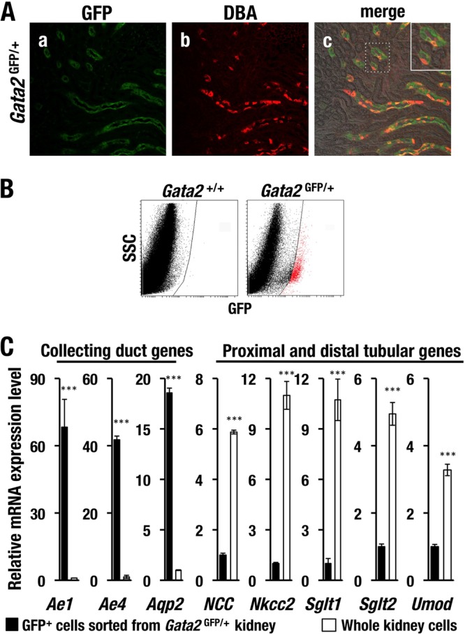 FIG 2