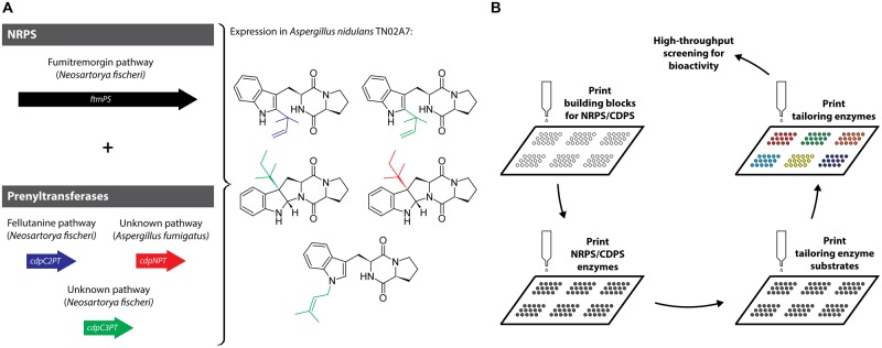 FIGURE 3