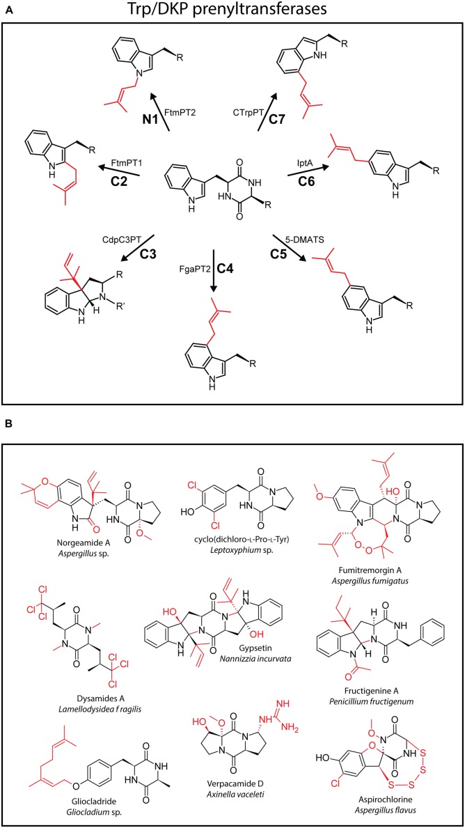 FIGURE 2