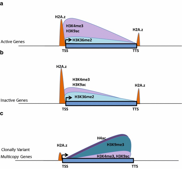 Fig. 6