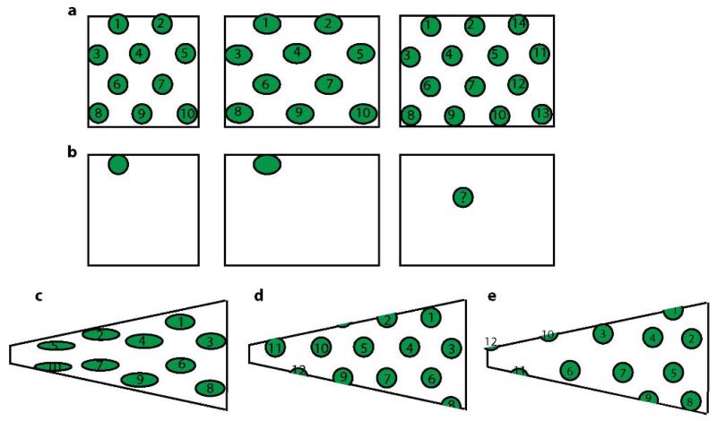 Extended Data Figure8