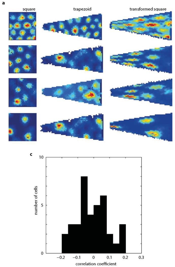 Extended Data Figure9