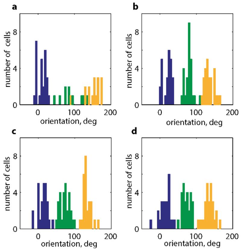 Extended Data Figure6