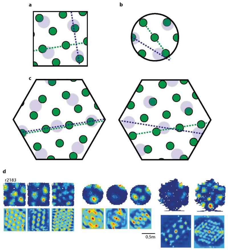 Extended Data Figure5