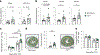 Fig. 4 |