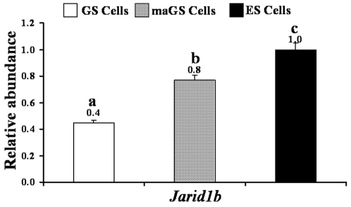 Figure 5