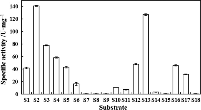 FIG 6