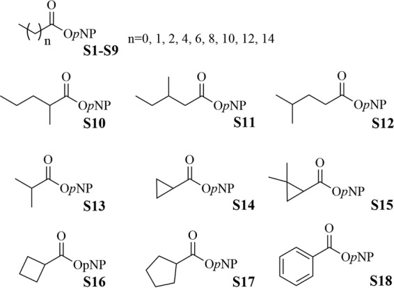 FIG 5