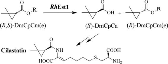 FIG 1