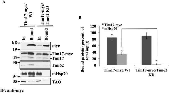 FIGURE 9.