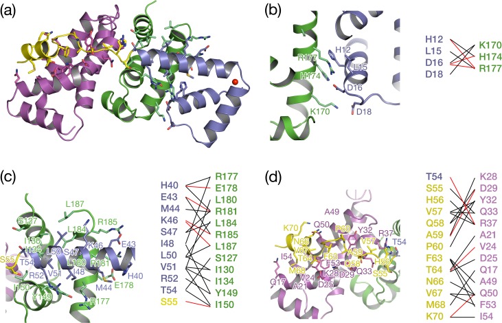 Fig 3