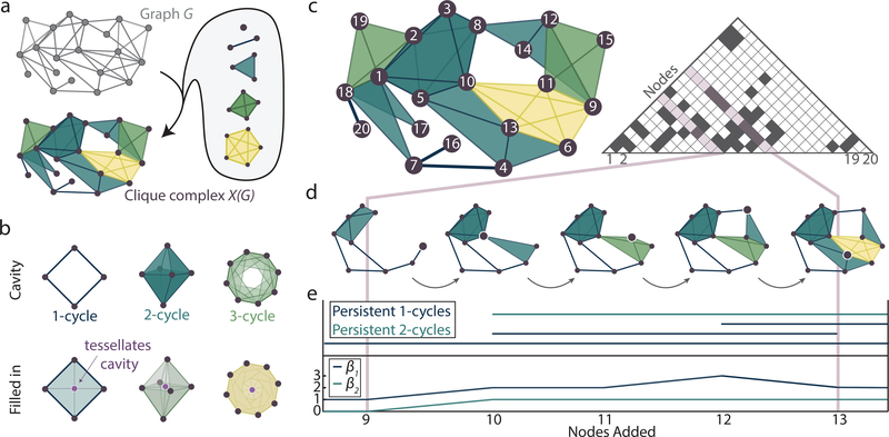 Figure 6: