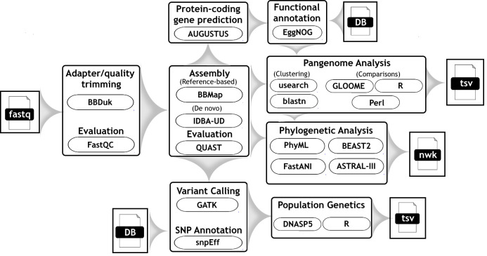 Figure 1