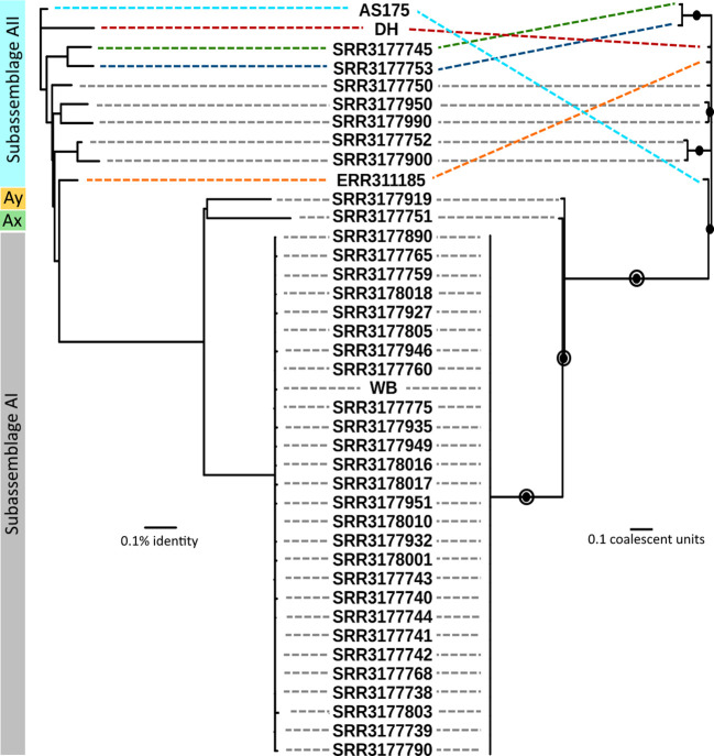 Figure 2