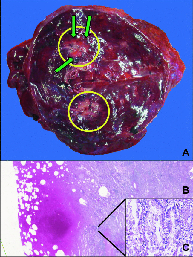 Fig. 2