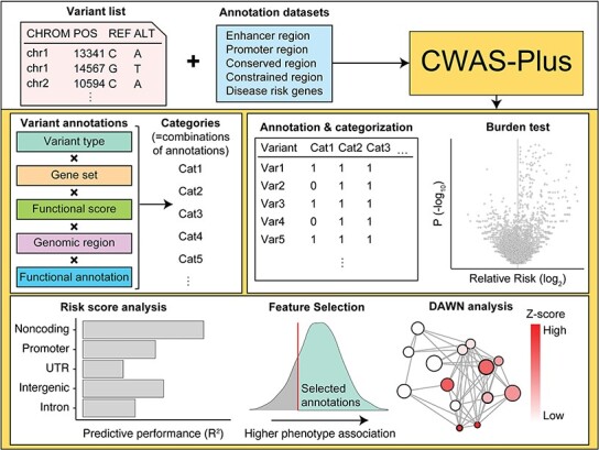 Graphical Abstract