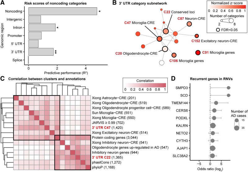 Analysis of rare variants in Alzheimer's disease using CWAS-Plus. A shows risk score analysis results with R2 values. B presents DAWN analysis results for 3' UTR categories with disease-associated clusters. C shows correlations between clusters and single annotations. D identifies recurrent genes in AD cases, displaying odds ratios and case numbers.