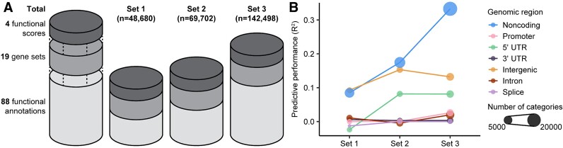 Comparison of model performance with different annotation datasets. A provides a schematic view of three annotation datasets with increasing size. B shows model performance of categories from each genomic region in each dataset, with colors representing genomic regions and data point sizes reflecting the number of categories.