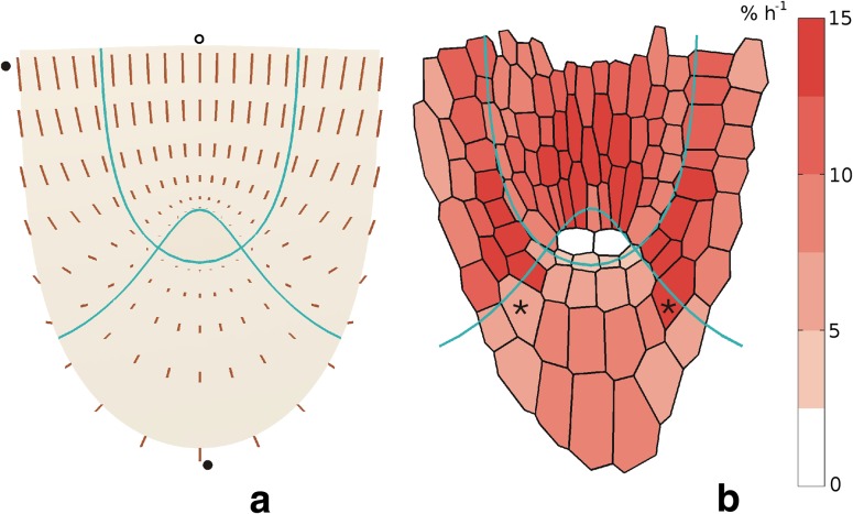 Fig. 6