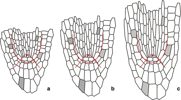 Fig. 7