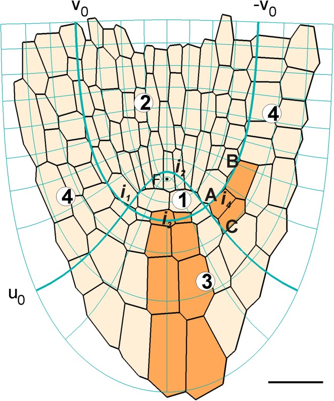 Fig. 1