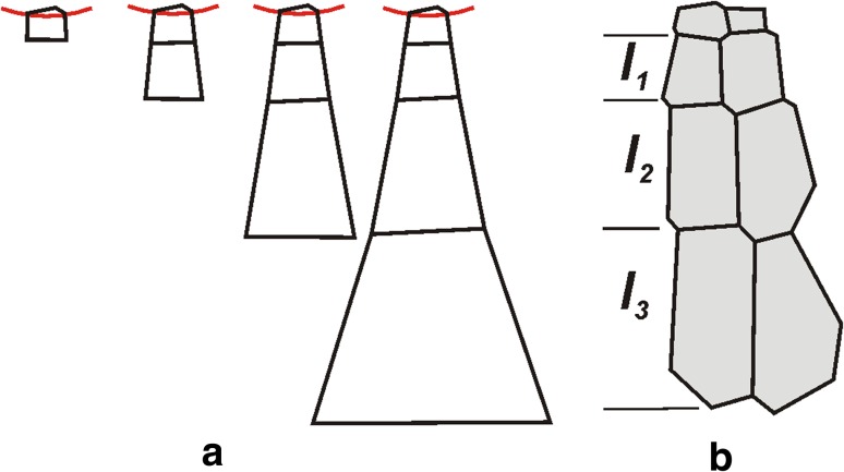 Fig. 5