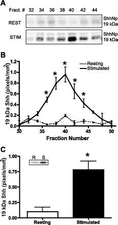 Fig. 8.