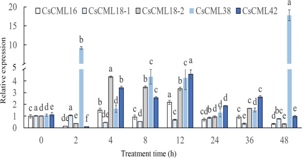 Figure 6