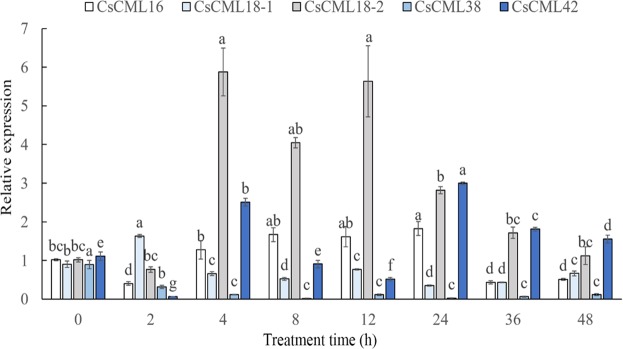 Figure 7