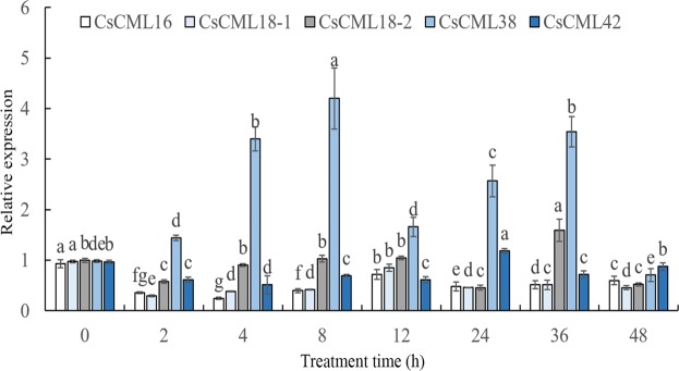 Figure 5