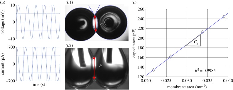 Figure 6.