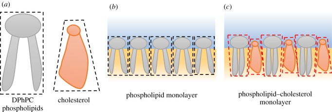 Figure 3.