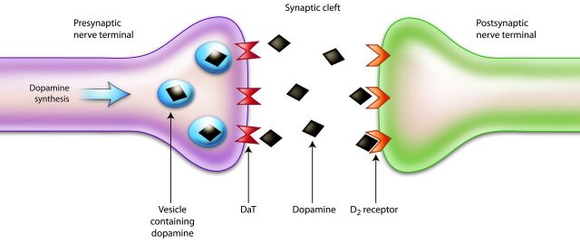 Fig 1.