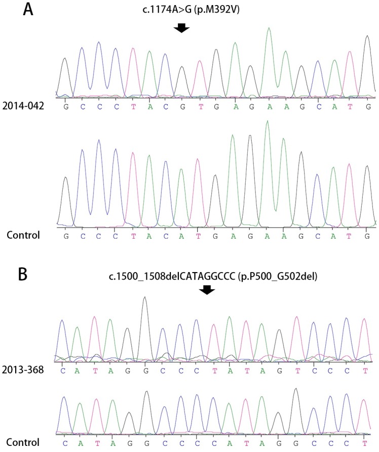 Fig 1