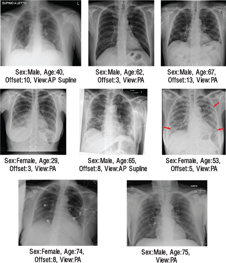 Fig.8