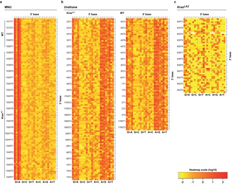 Extended Data Figure 1