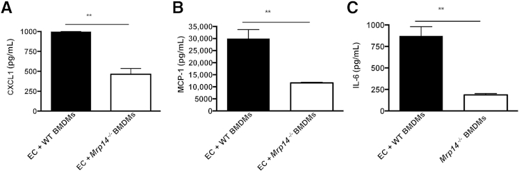 Figure 6