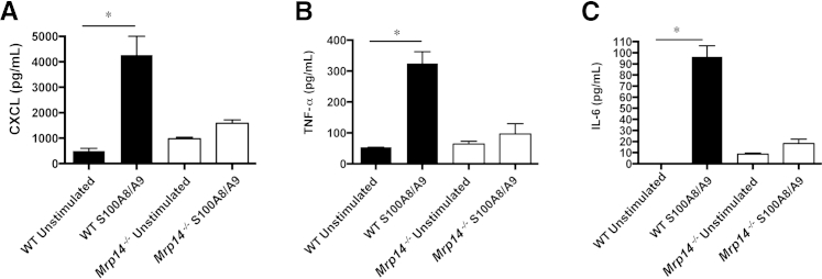 Figure 4