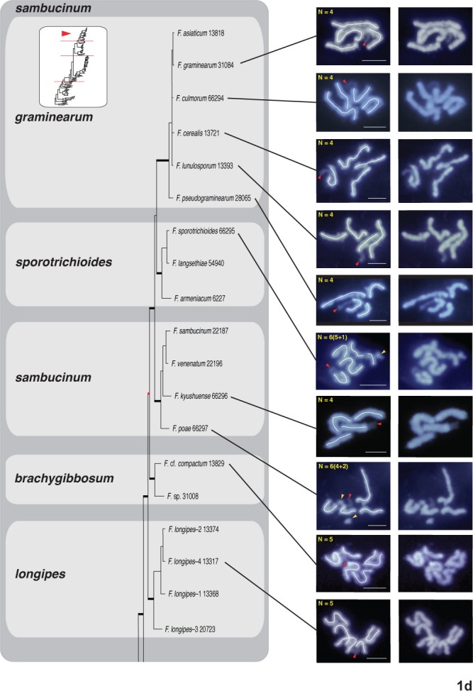 Fig. 1a–d.