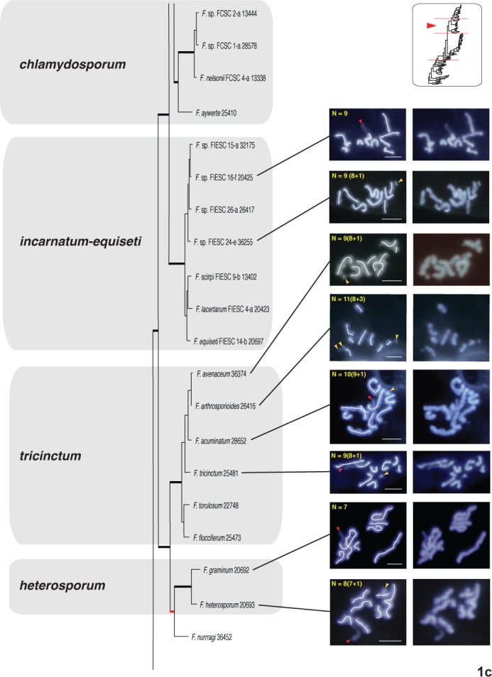 Fig. 1a–d.