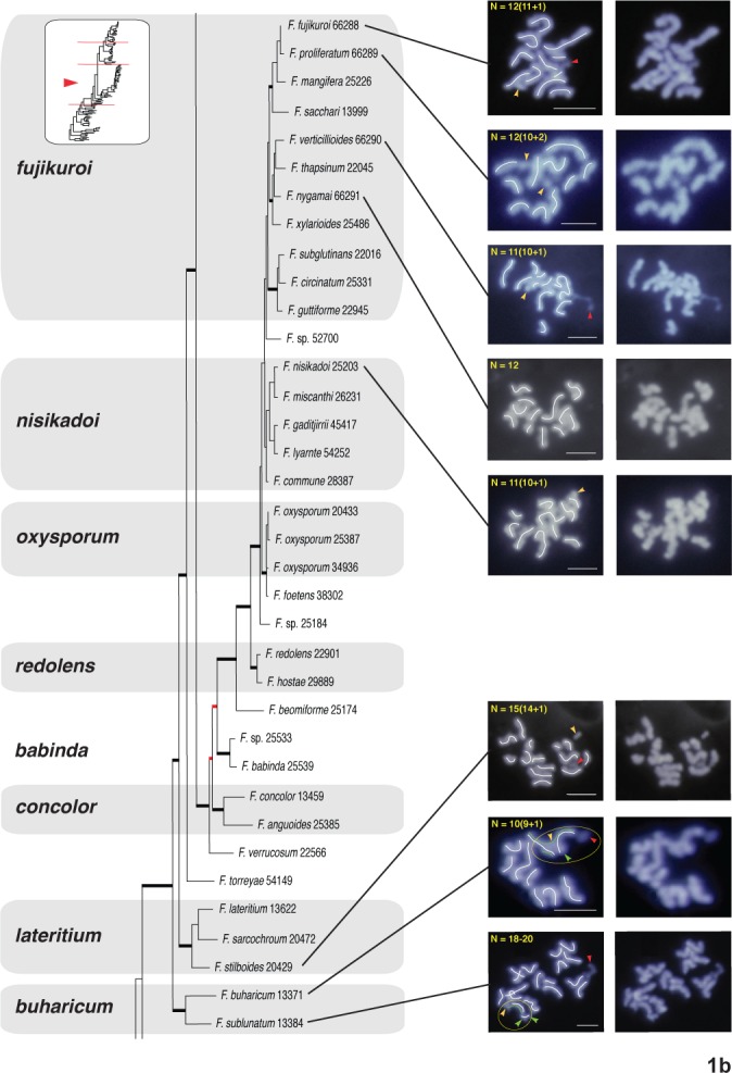 Fig. 1a–d.