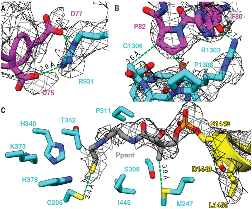 Fig. 3.