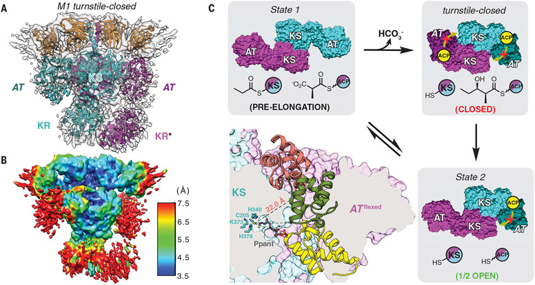 Fig. 4.