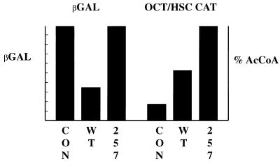 FIG. 7