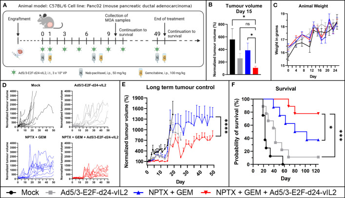 Figure 4