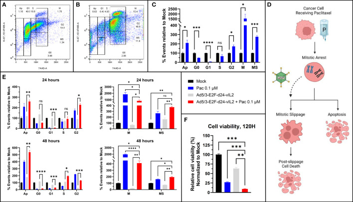 Figure 2