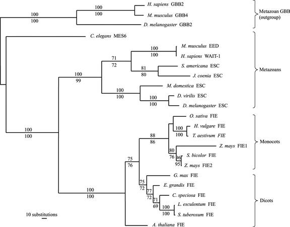 Figure 7.