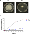 Fig 5