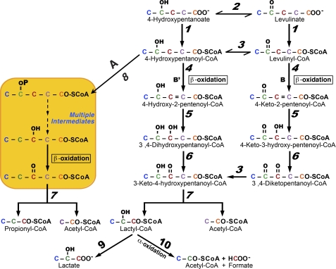 FIGURE 1.