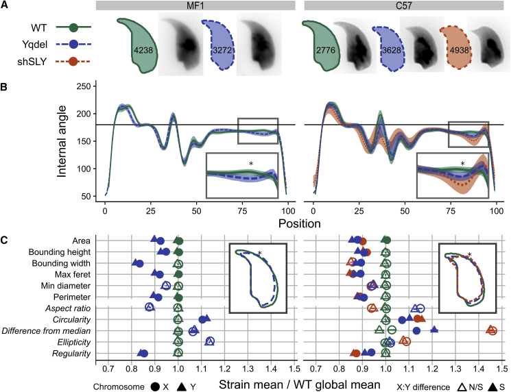 Figure 2